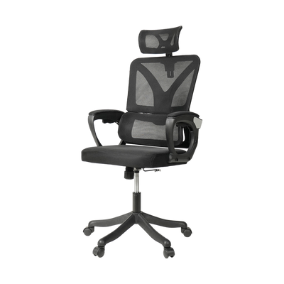 HomeZ Office Chair Ergonomic Chair Executive Mesh High back / Medium Back Chair/with legrest - Black